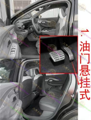 极狐阿尔法S6