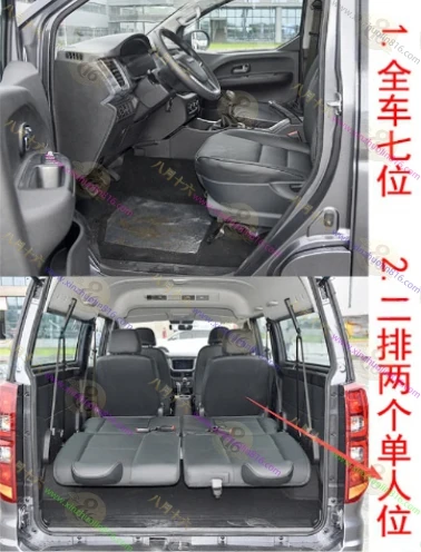金海狮