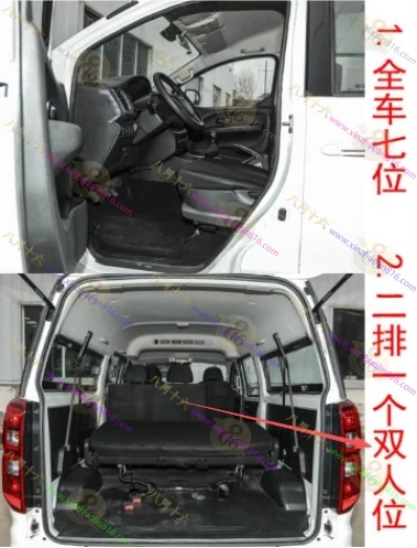 金海狮