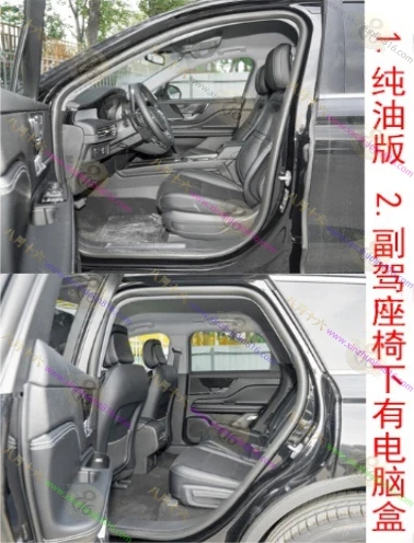 冒险家